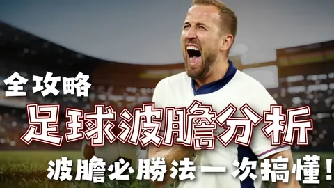 周五002澳超分析：阿德莱德对阵惠灵顿专家推荐